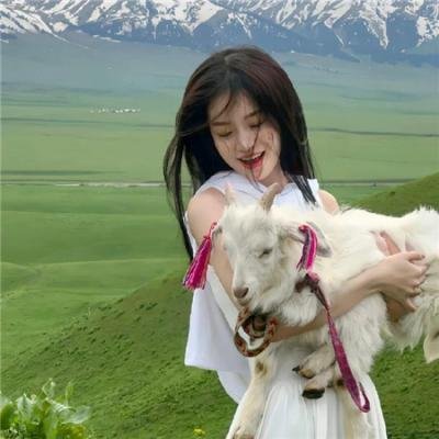 爸妈被我绑架了