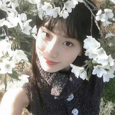 女王鲨
